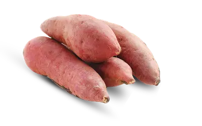 Batatas-doces orgânicas frescas, recém-colhidas, com casca avermelhada e aspecto natural.