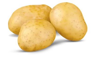 Batatas inglesas orgânicas frescas, recém-colhidas, com casca limpa e coloração amarela natural.