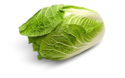 Acelga orgânica fresca com folhas verdes e talos brancos crocantes.