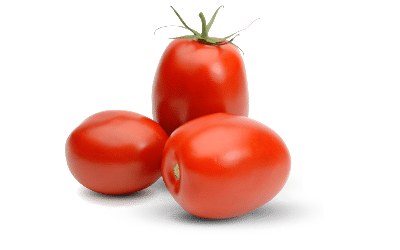 Tomates italianos orgânicos frescos, maduros e de coloração vermelha intensa.