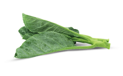 Couve-manteiga orgânica fresca com folhas verdes largas e aspecto saudável.