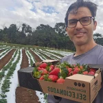 Proprietário em primeiro plano em frente a lavoura de morango mostrando uma caixa cheia de morangos
